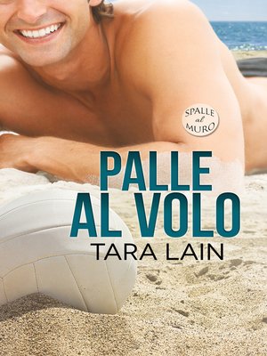 cover image of Palle al volo